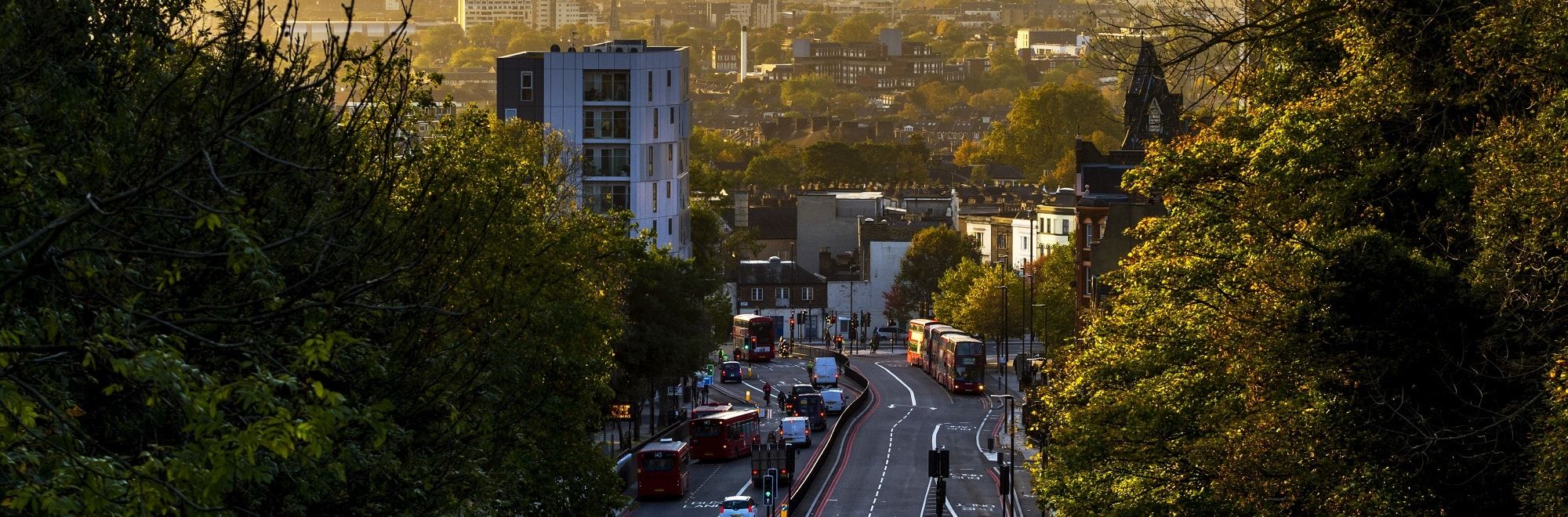 Estate & Letting Agents in Archway