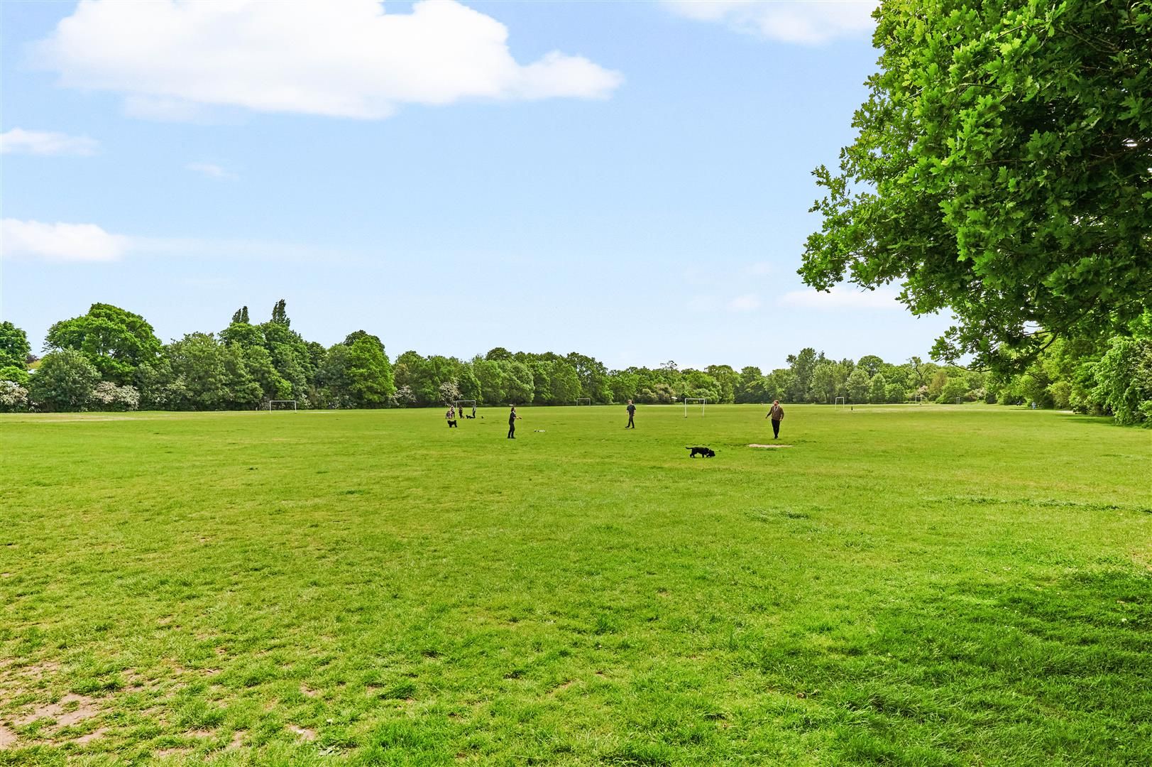 4 bed semidetached house for sale in Hertford Avenue, East Sheen, SW14