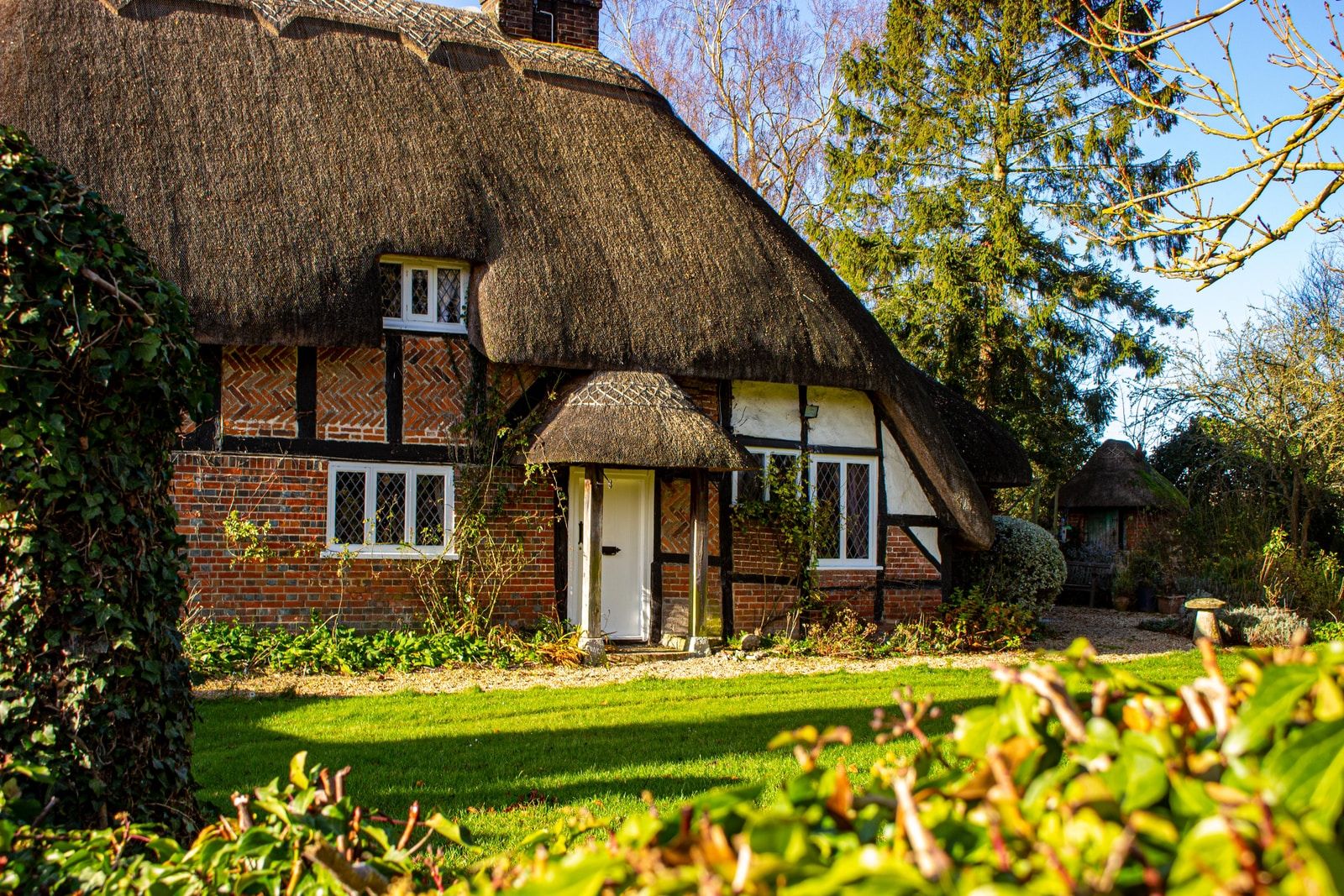 Adding shade to your garden this summer