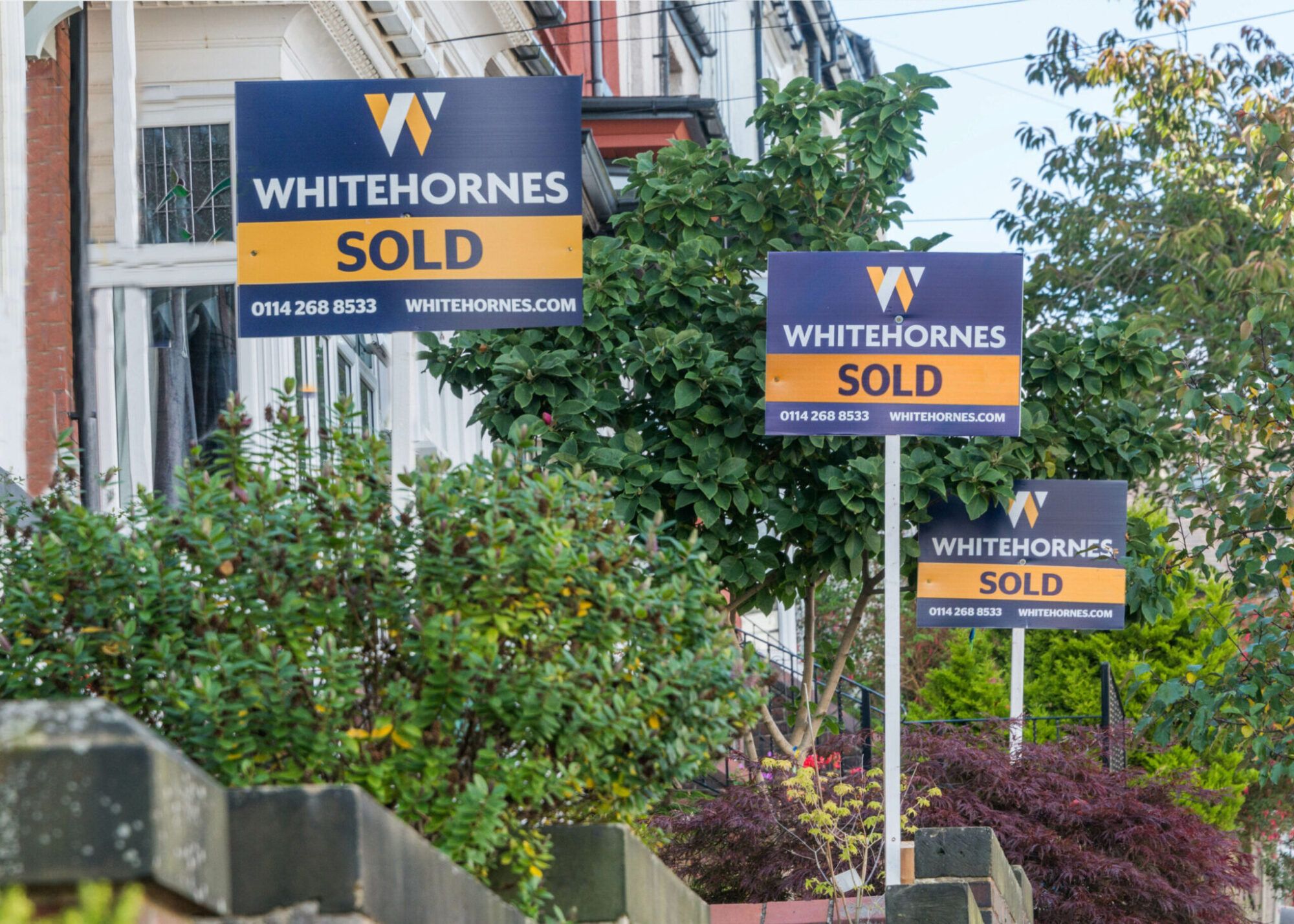 Whitehornes Sales Whitehornes Estate Agent