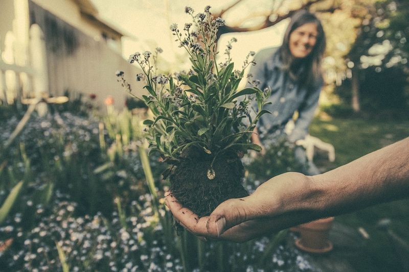 Could your garden be devaluing your home?