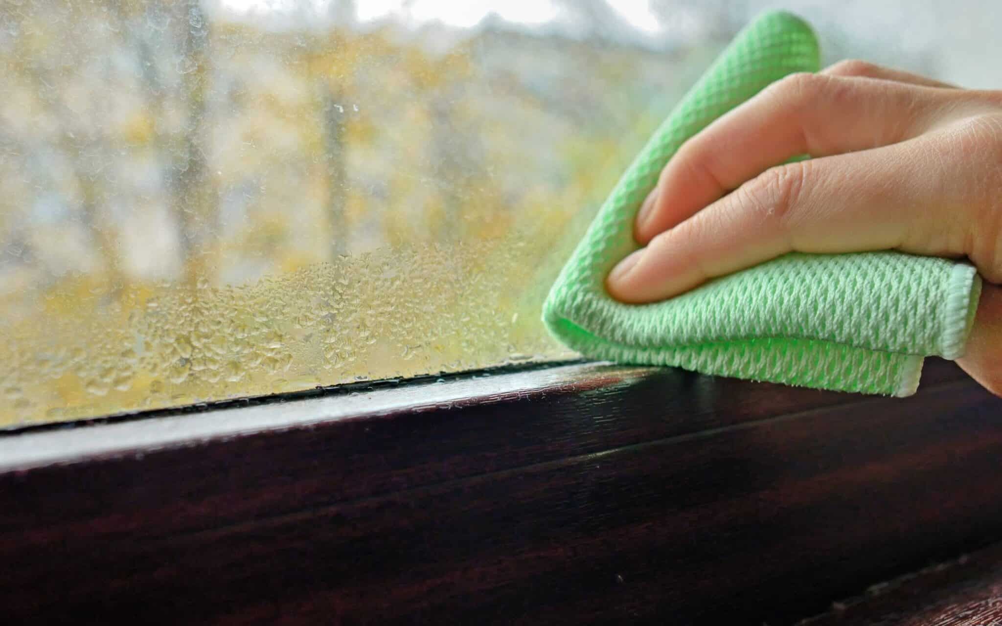 How to Fix Dampness in a Property – Managing Moisture