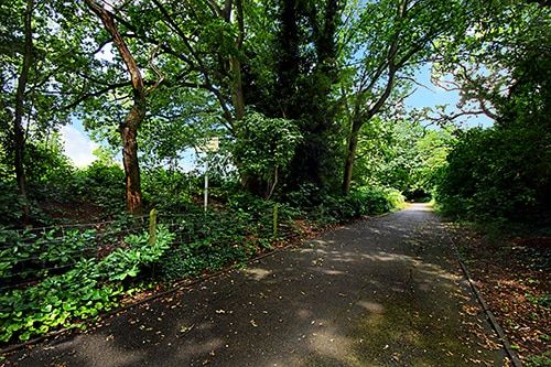 Fox Wood Nature Reserve