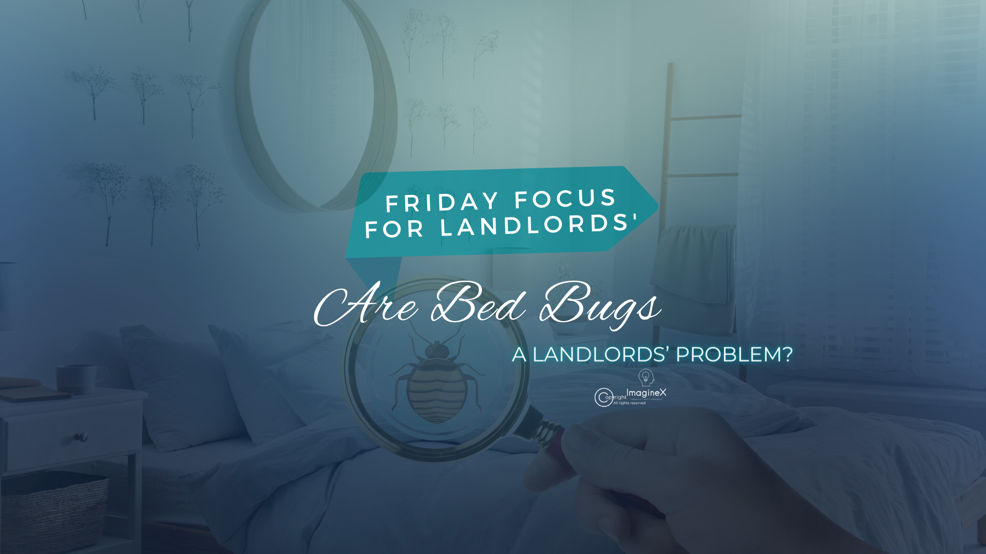 Are Bed Bugs a Landlord Problem? The KS Property Group