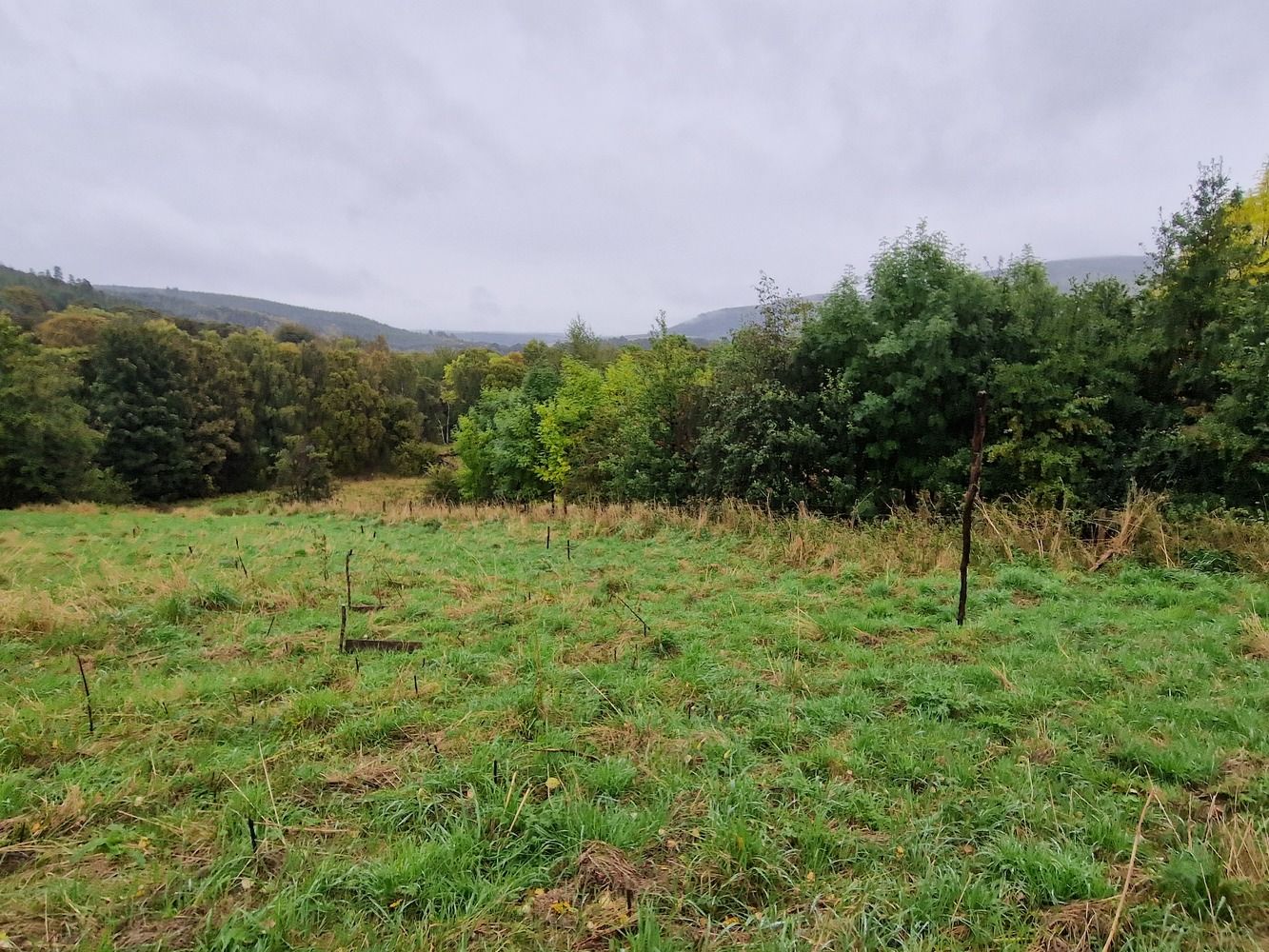 Building Plot Hillside, Rothes, Aberlour, Moray, AB38 7AQ