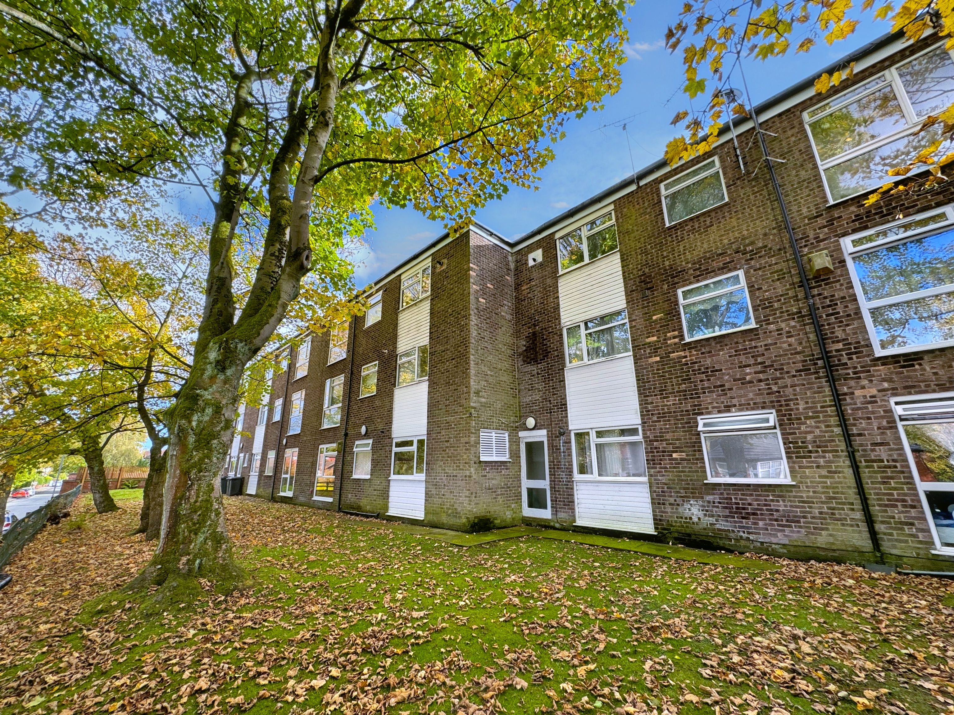 Westfield Street, Tall Trees, M7