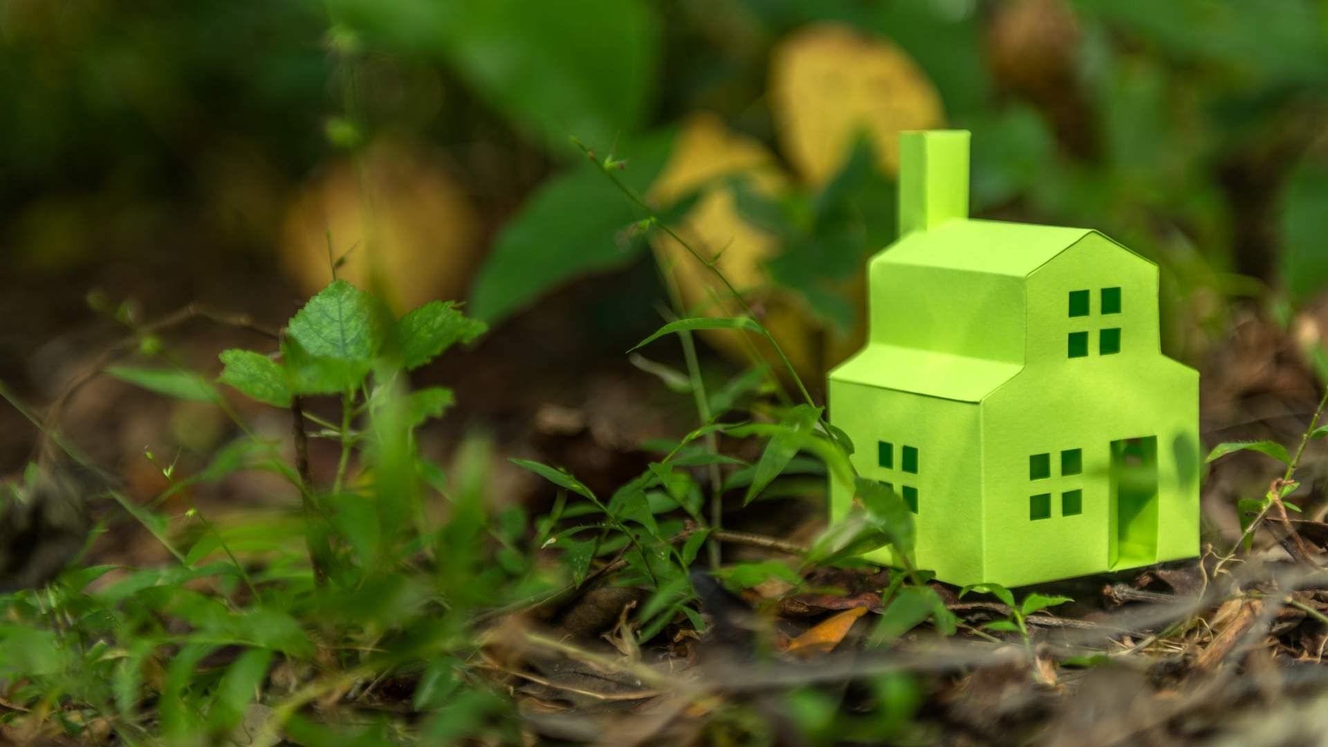 5 things landlords should know about green mortgages