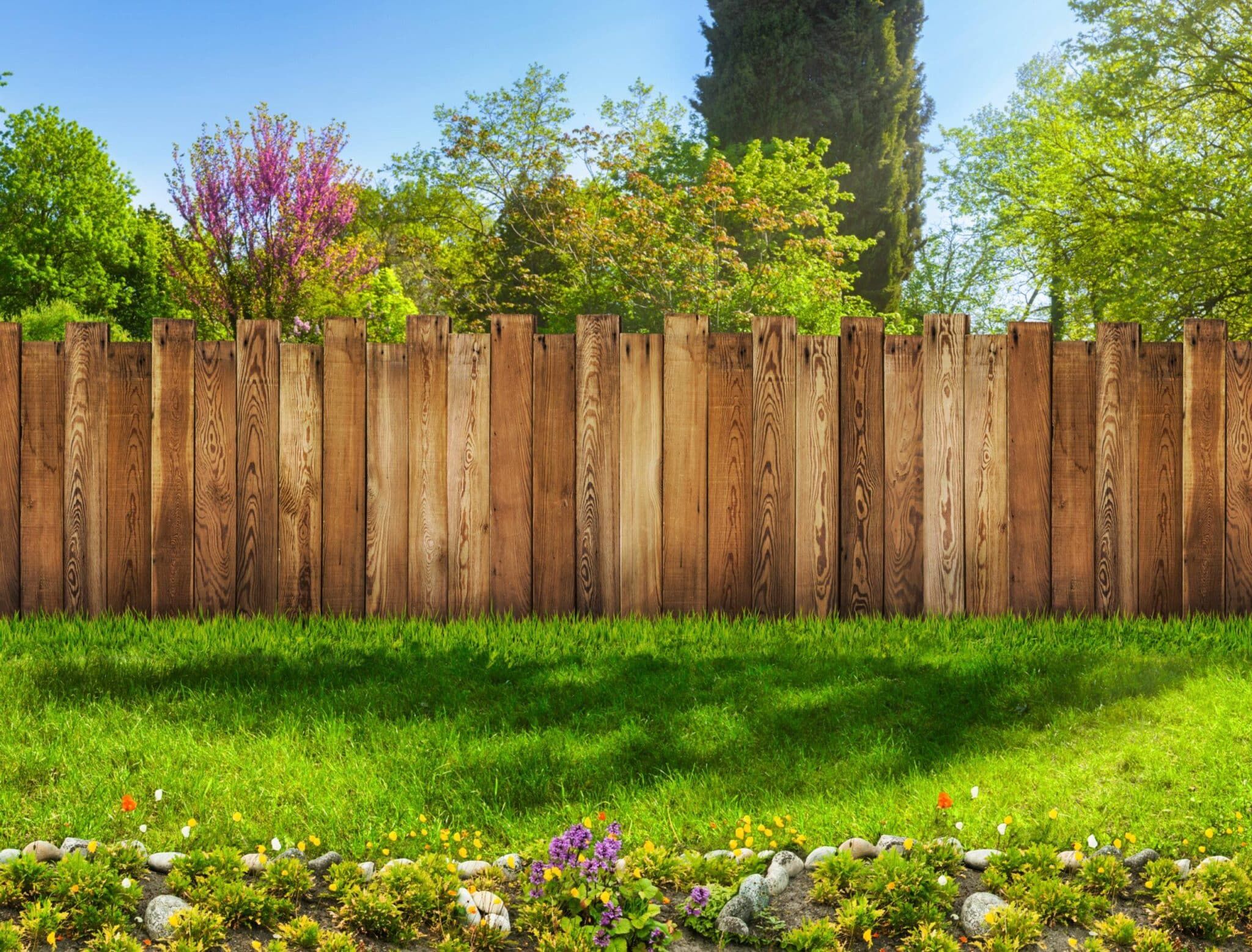A Guide To Garden Fence Laws