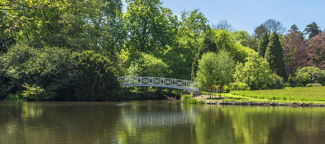 Virginia Water Area Guide