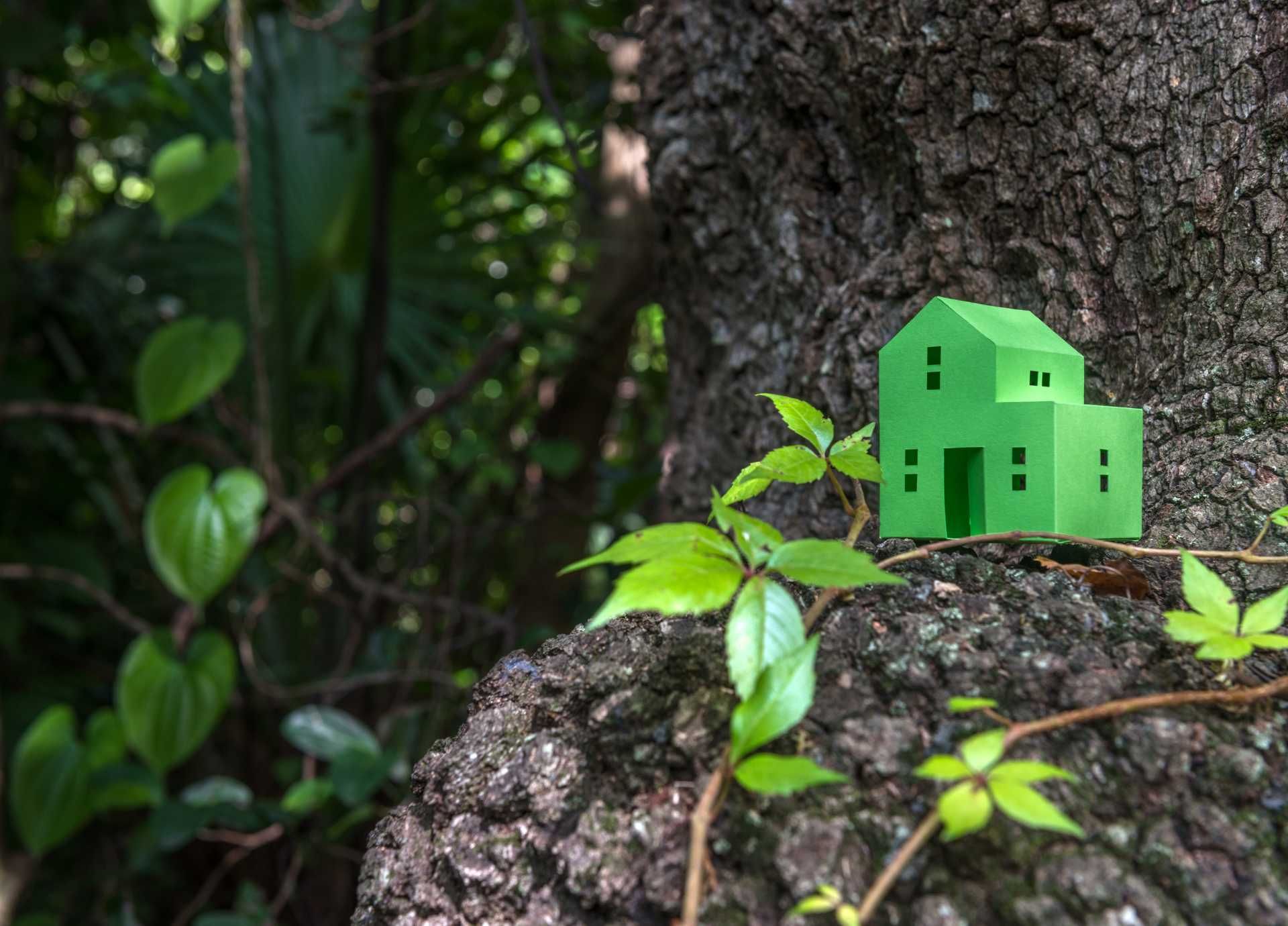 Green mortgages &#8211; should landlords be considering them?