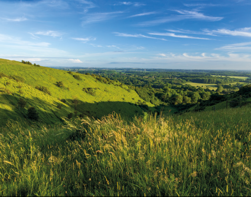 Idyllic farmland and scenic countryside