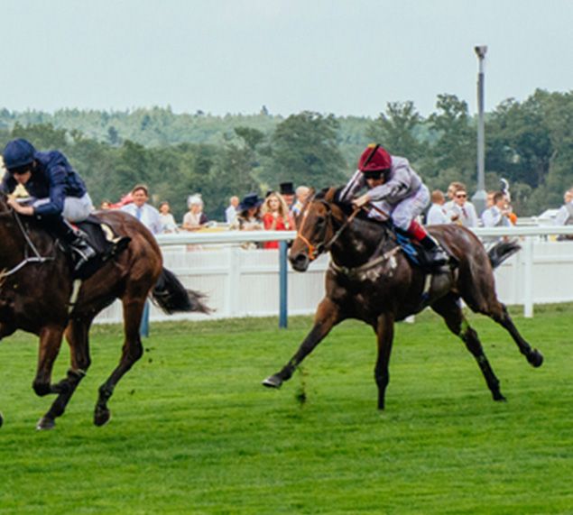 Ascot Area Guide