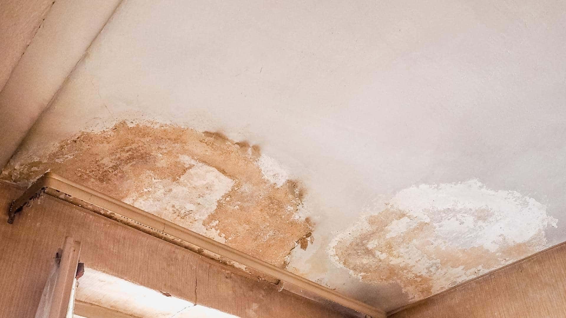 Your damp & mould questions answered