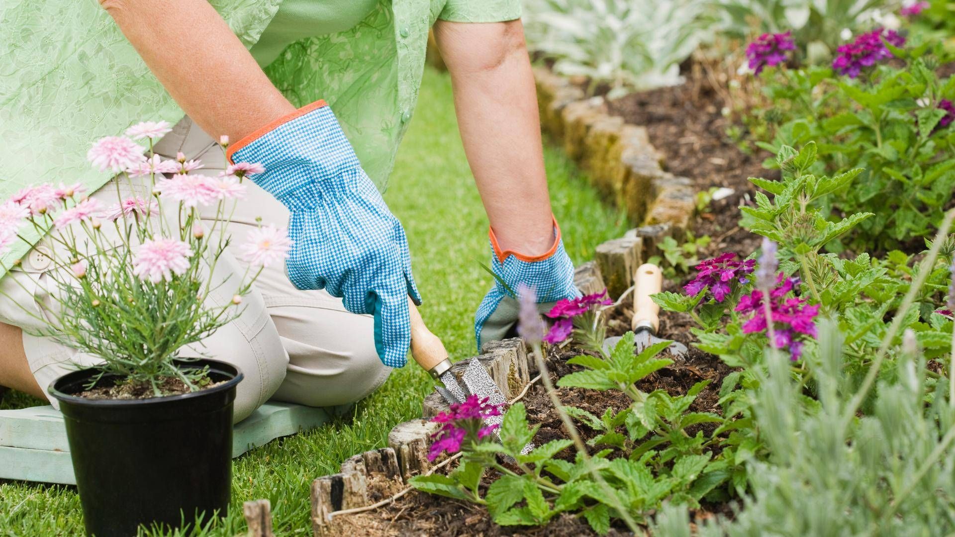 Tenants: your guide to using, not abusing, your outside space this summer