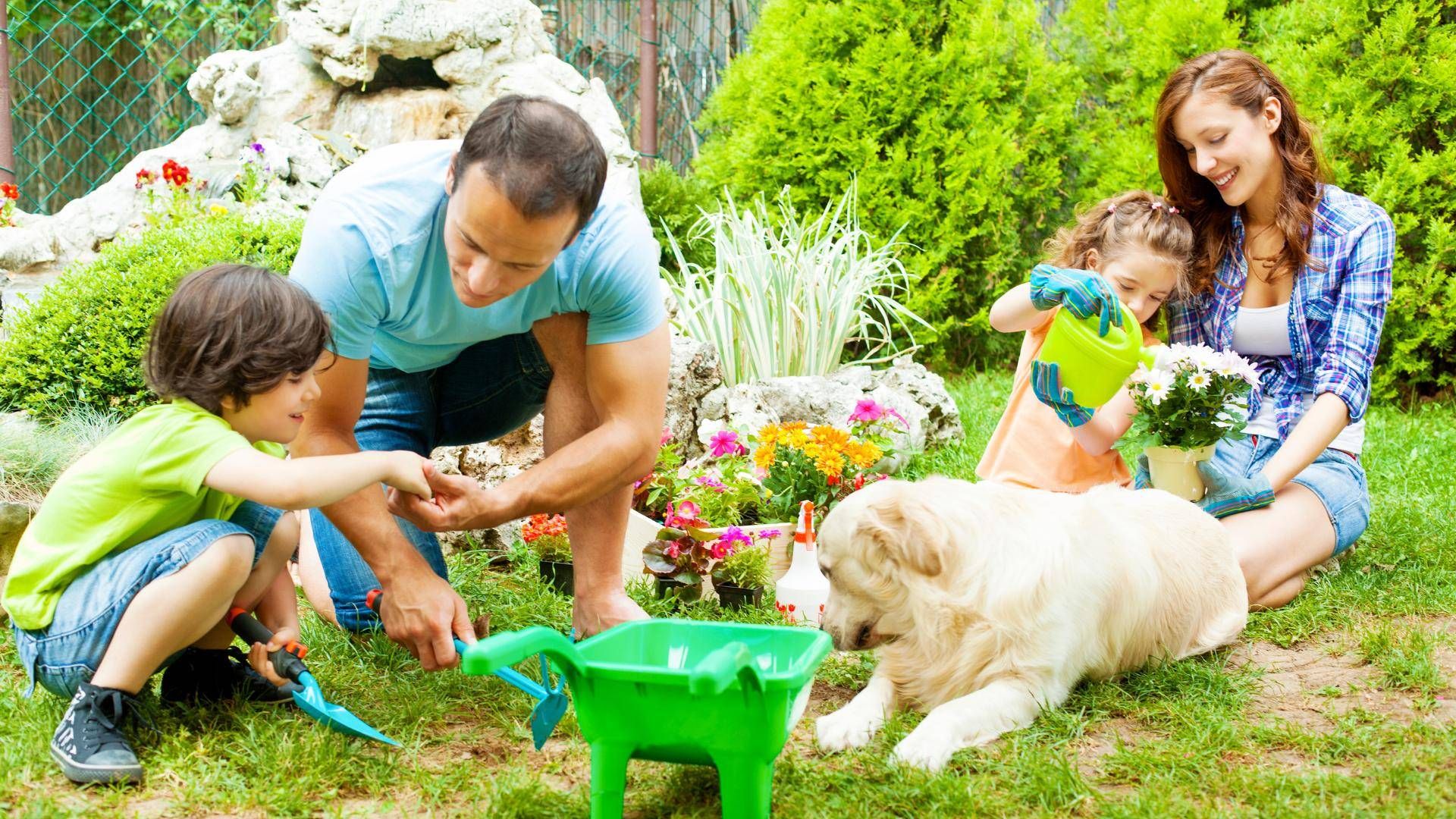 Landlords: 7 tips for protecting your garden this summer