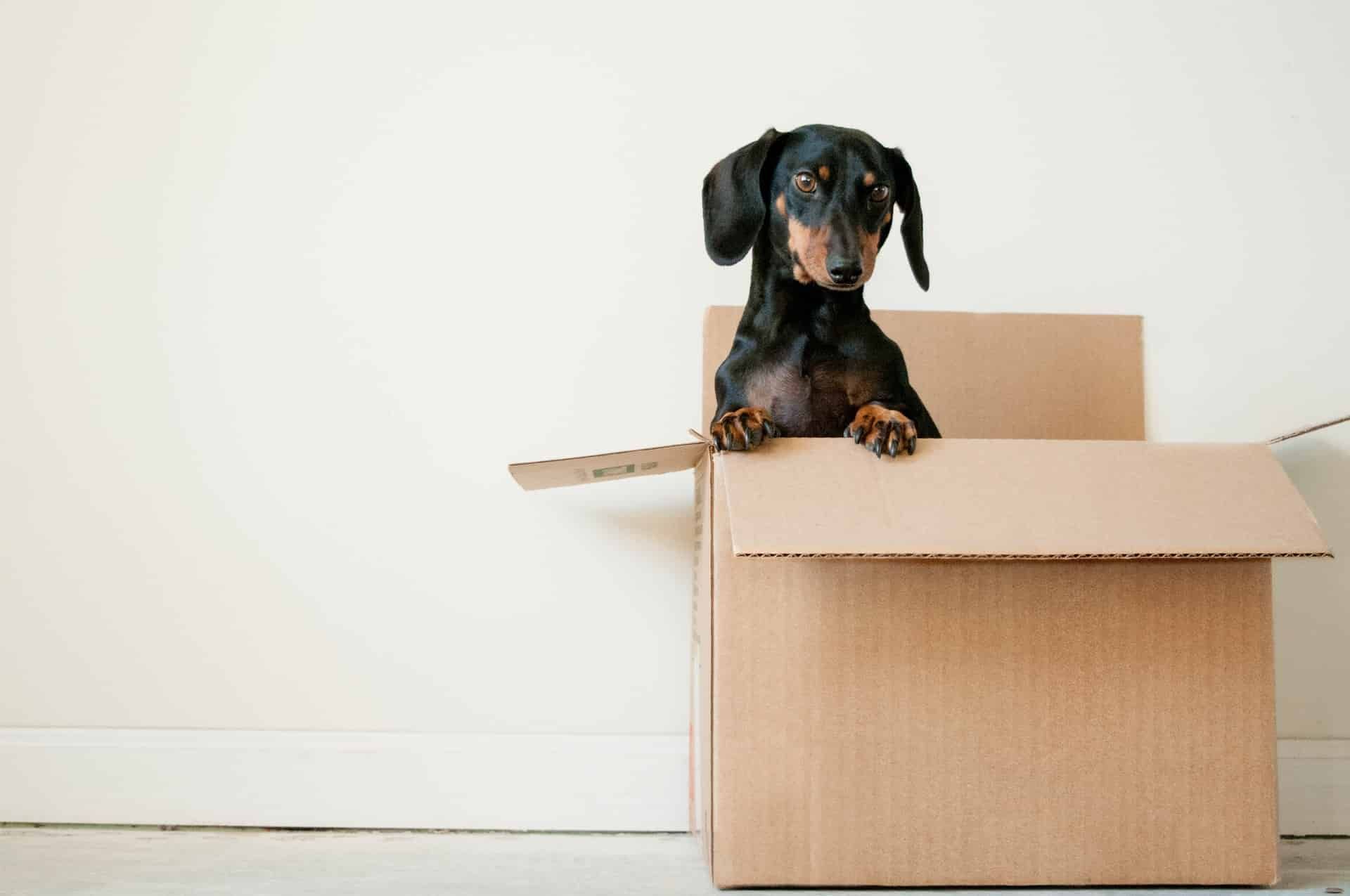 Here are a few top tips to move home before the big day