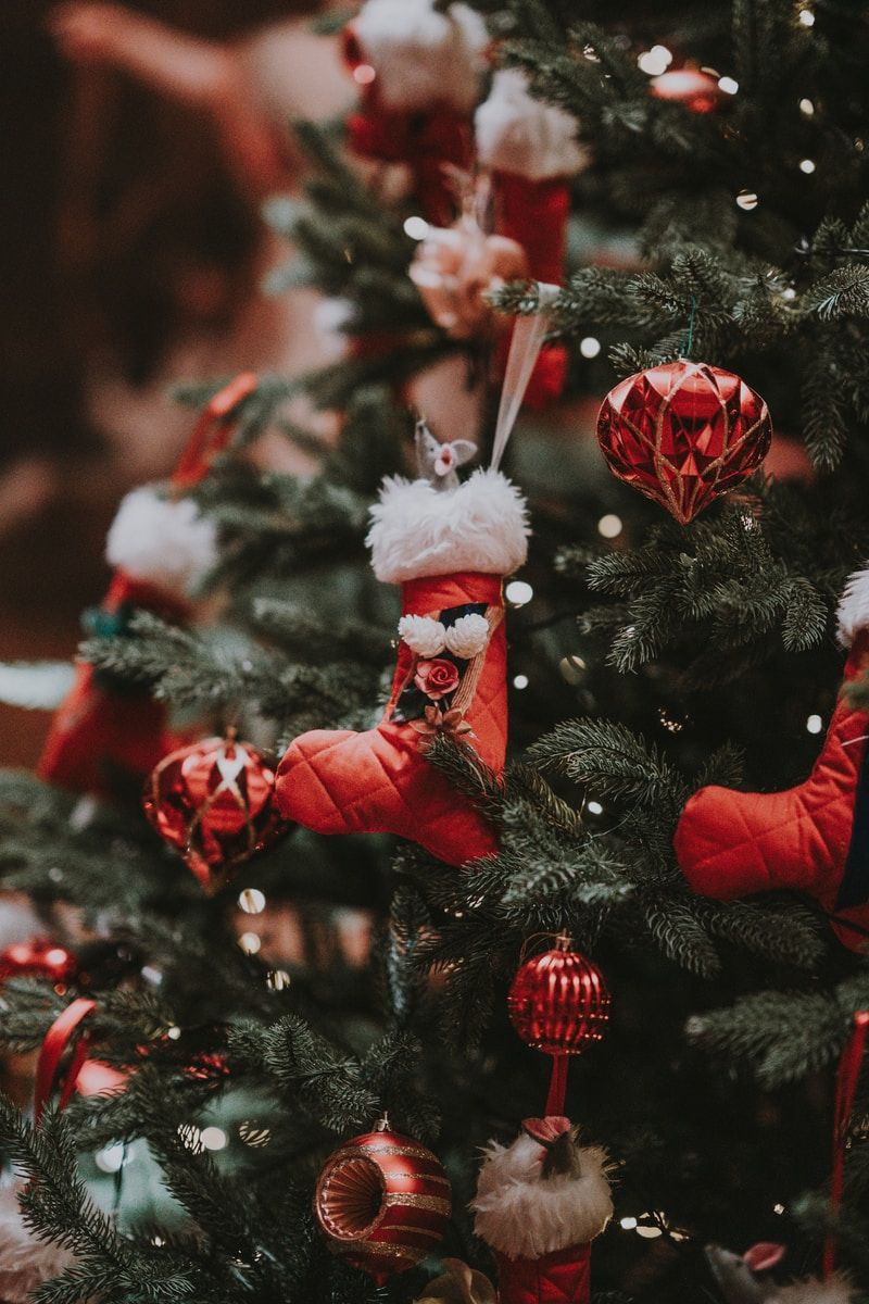 Yule Love Our Four Facts about Popular Christmas Traditions