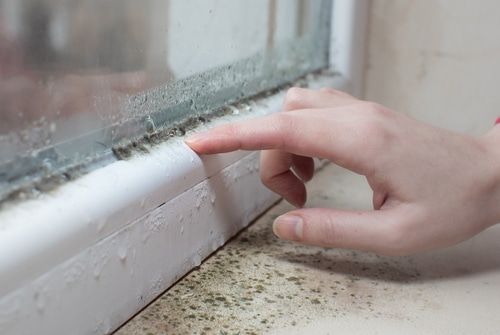 How To Prevent And Deal With Condensation And Mould